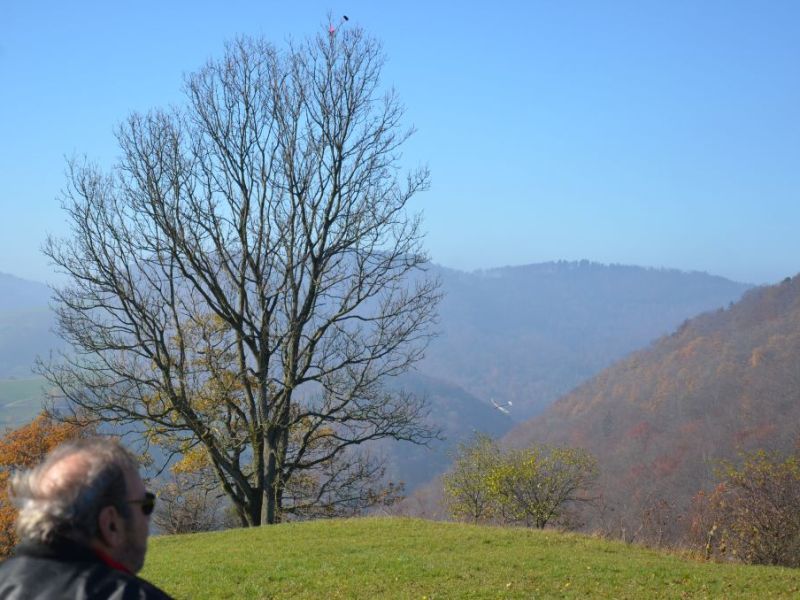 benken 2015  