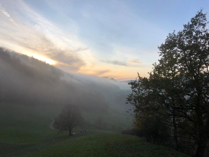 benken 2019  