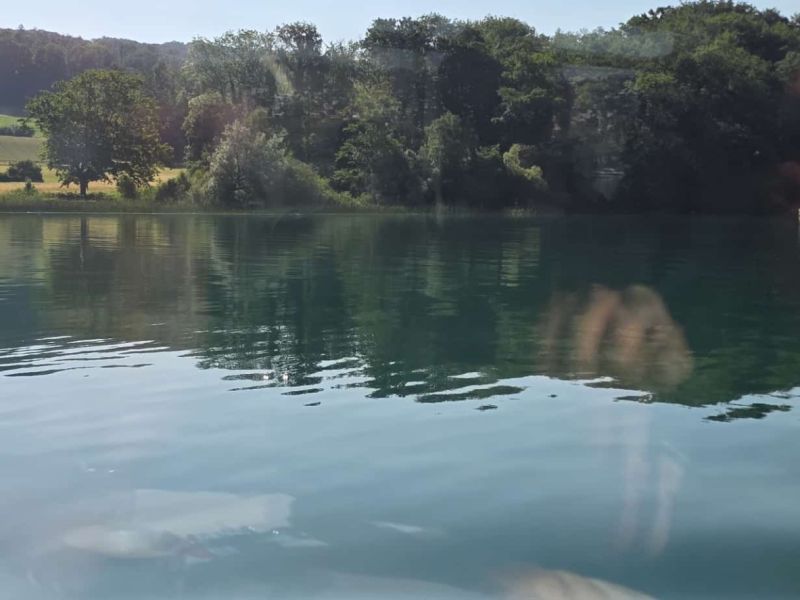 hallwilersee brunch  