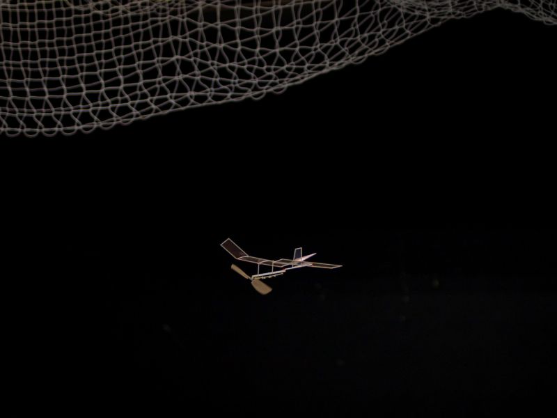 saalflug2026  