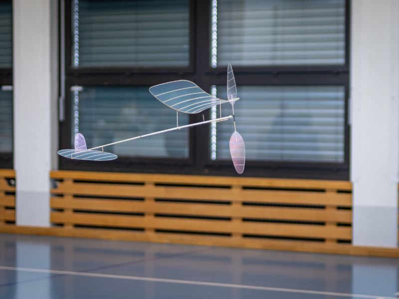 saalflug2026  