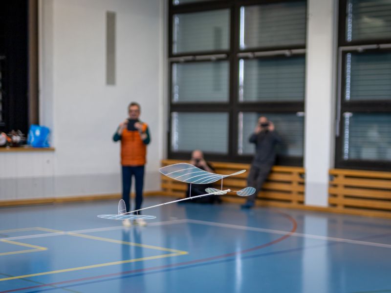 saalflug2026  