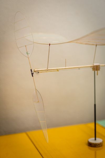 saalflug2026  