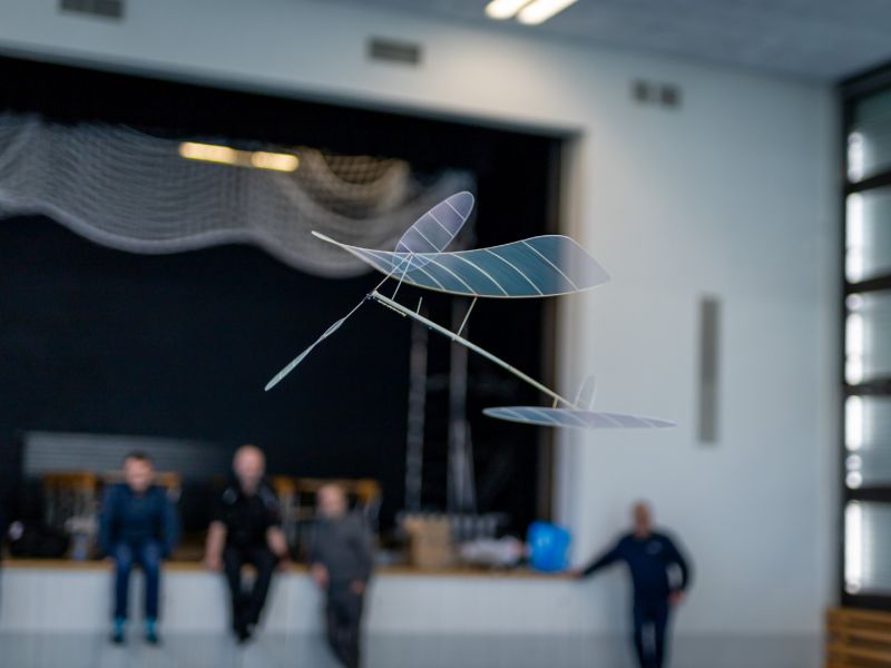 saalflug2026  
