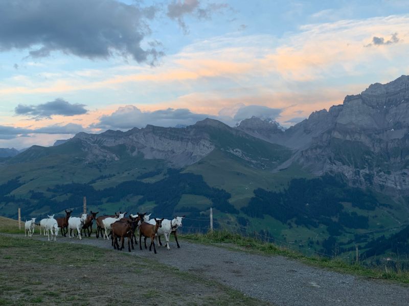 tschentenalp 2023  