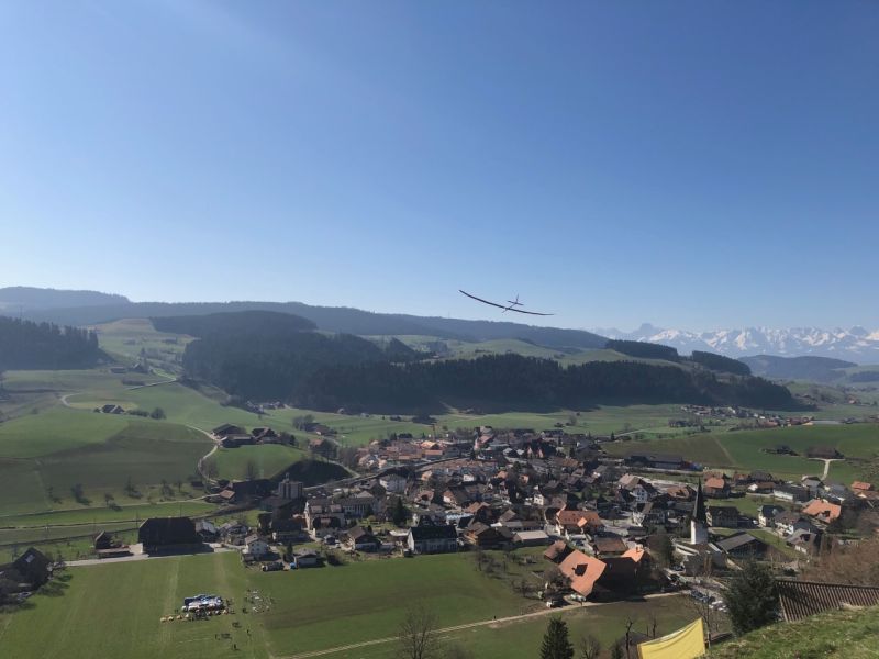 zaeziwiler 2019  