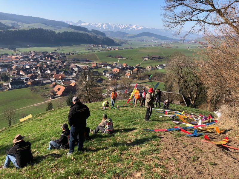 zaeziwiler 2019  
