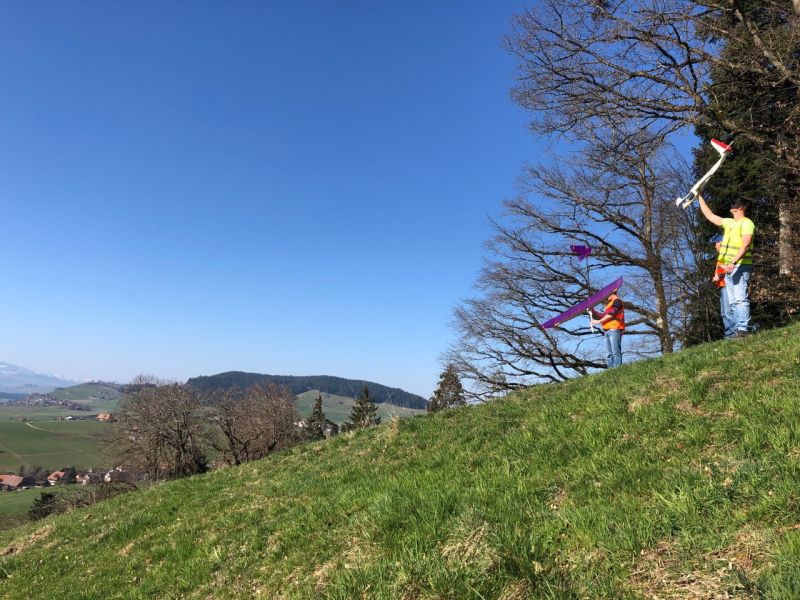 zaeziwiler 2019  